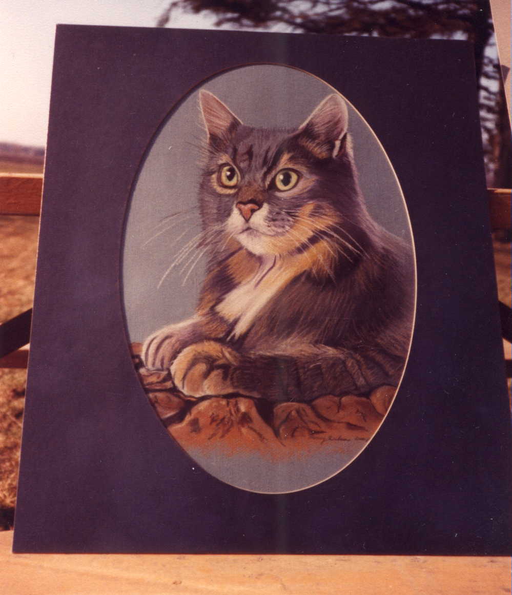 Image of chalkcat.JPG