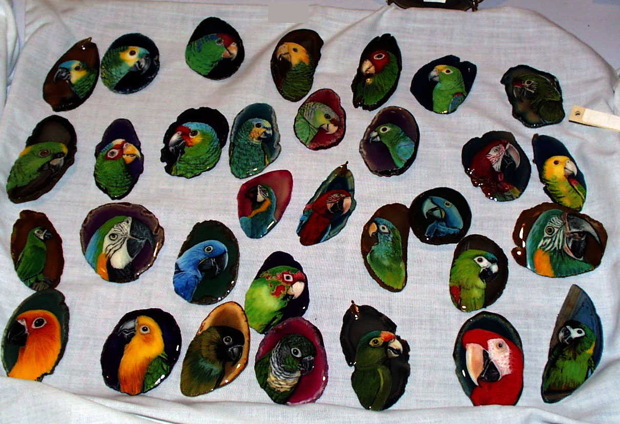 Image of parrots.JPG